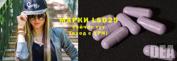 гашик Алексеевка