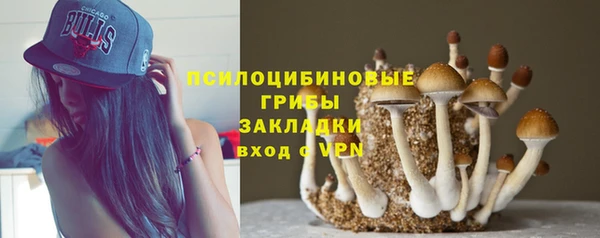 гашик Алексеевка