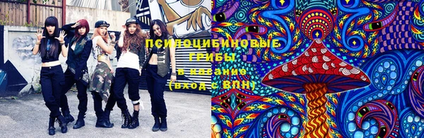 гашик Алексеевка