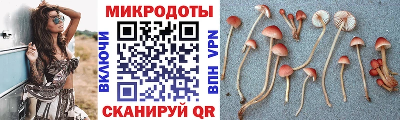 купить наркотик  Бирск  Псилоцибиновые грибы ЛСД 