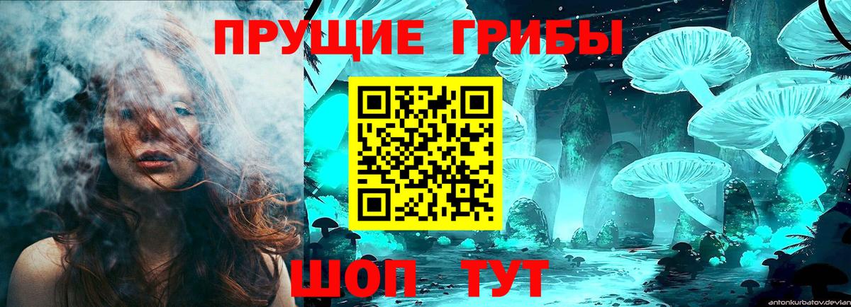 Псилоцибиновые грибы Psilocybine cubensis  Вход с VPN  Галлюциногенные грибы Psilocybe  Бирск 